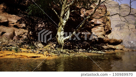 The early morning light reflects on calm waters beside a solitary tree, framed by majestic cliffs. Natures tranquility is evident as shadows dance along the riverbank. The early morning light reflects on calm waters beside a solitary tree, framed by majestic cliffs. Natures tranquility is evident as shadows dance along the riverbank. 130989970