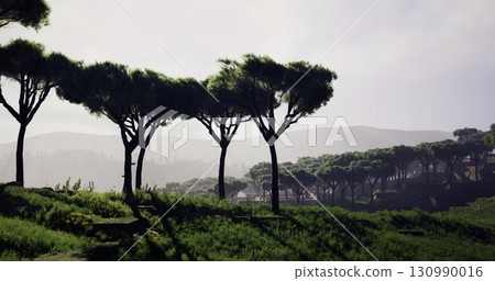 A serene valley emerges under the soft glow of dawn, showcasing lush greenery and tall trees casting gentle shadows. The scenery evokes a deep sense of peace and connection with nature. 130990016