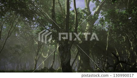 Sunlight filters through a dense canopy, casting soft shadows on the forest floor. Trees stand tall and proud, creating a serene atmosphere rich with the sounds of nature. 130990017