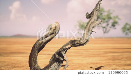A uniquely twisted tree trunk captures attention in a dry, expansive landscape. The vibrant blue sky contrasts beautifully with the muted earth tones of the ground, showcasing natures resilience. 130990035
