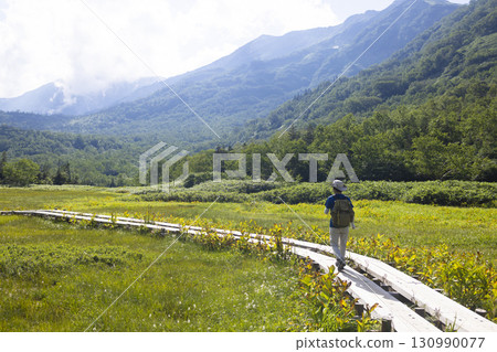 Woman hiking on a boardwalk Woman hiking on a boardwalk 130990077