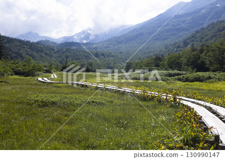 從健行步道看到的景色 130990147