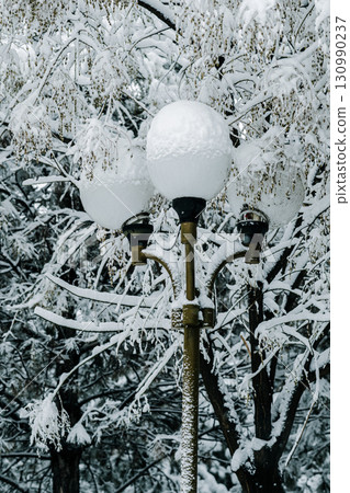 Winter park with white snowy branches, fir trees. Lantern Winter park with white snowy branches, fir trees. Lantern 130990237