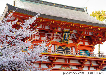 The tower gate of Ikuta Shrine, decorated with cherry blossoms in spring. Kobe, Hyogo Prefecture, Japan The tower gate of Ikuta Shrine, decorated with cherry blossoms in spring. Kobe, Hyogo Prefecture, Japan 130990328