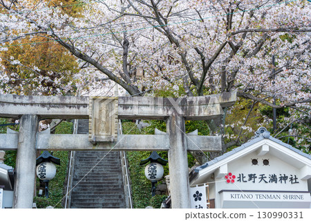Cherry blossoms blooming at Kitano Tenmangu Shrine's stone torii gate and approach. Kobe, Hyogo Prefecture, Japan 130990331