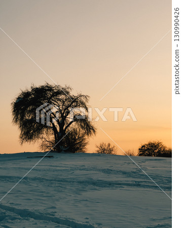 Illuminating snowy hills, orange and yellow sunset casts warm glow over tranquil winter landscape, featuring bare tree and scattered bushes, evoking serenity and calm. Vibrant sunset lighting, snow Illuminating snowy hills, orange and yellow sunset casts warm glow over tranquil winter landscape, featuring bare tree and scattered bushes, evoking serenity and calm. Vibrant sunset lighting, snow 130990426