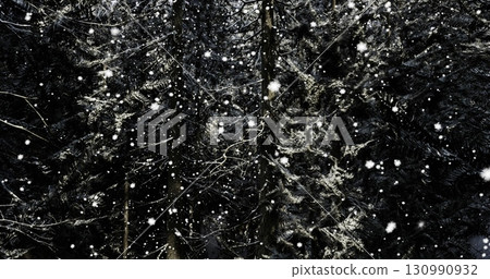 Soft snowflakes descend gracefully through a dense forest filled with dark evergreen trees. The serene atmosphere evokes a sense of calm during the winter season. Soft snowflakes descend gracefully through a dense forest filled with dark evergreen trees. The serene atmosphere evokes a sense of calm during the winter season. 130990932