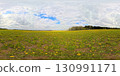 A panoramic HDRI image of a wide meadow filled with blooming dandelions under a partly cloudy sky. A forest borders the horizon, and scattered sunlight breaks through the dramatic cloudscape.	 130991171