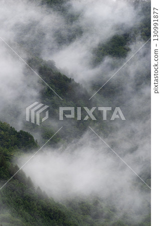 Fog wrapped in fog 130991877