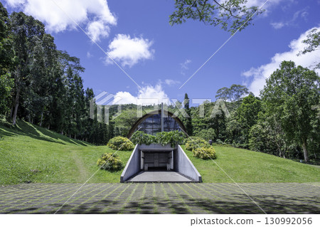 beautiful summer park with green trees and grass beautiful summer park with green trees and grass 130992056