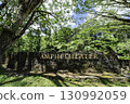 stone path in the park. an amphitheater 130992059