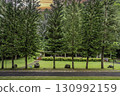 green lawn in the park 130992159