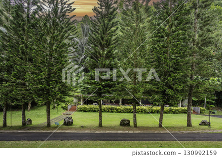 green lawn in the park 130992159