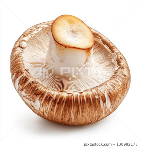 Freshly harvested portobello mushroom showcasing its intricate gills and cap structure 130992173