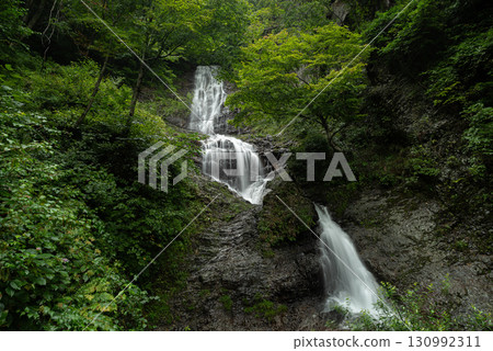 Fresh green forest and beautiful waterfall, Karasawa Falls Fresh green forest and beautiful waterfall, Karasawa Falls 130992311