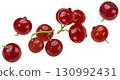 Red currant isolated on white background with clipping path, full depth of field 130992431