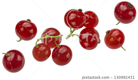 Red currant isolated on white background with clipping path, full depth of field 130992431