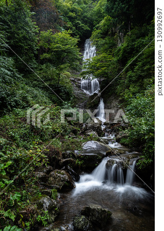清新翠綠的森林與美麗的瀑布－唐澤瀑布 130992697