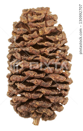 松果，松果，白色背景，天然材料，裝飾 130992707