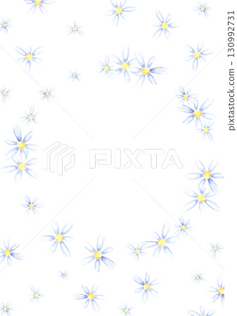 Blue chamomile flowers postcard frame border, hand drawn watercolor illustration isolated on white background. Can be used for poster, invitation and other printed products. Blue chamomile flowers postcard frame border, hand drawn watercolor illustration isolated on white background. Can be used for poster, invitation and other printed products. 130992731