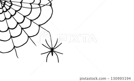 Corner spider web with black spider isolated on white background 130993194