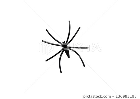 Black spider isolated on white background 130993195