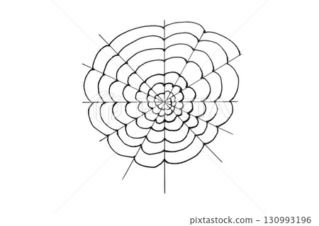 Spider web with black spider isolated on white background Spider web with black spider isolated on white background 130993196