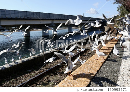 佐久目站附近飛翔的海鷗 130993371