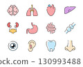 Human Organs and Body Parts Line Icons Set	 130993488