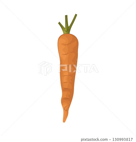 Illustration of carrot 130993817