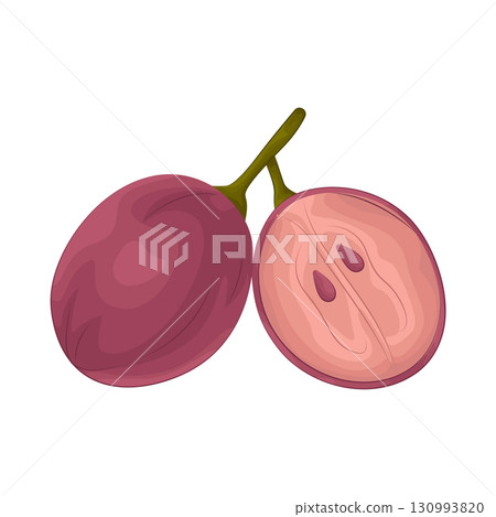 Illustration of grape 130993820