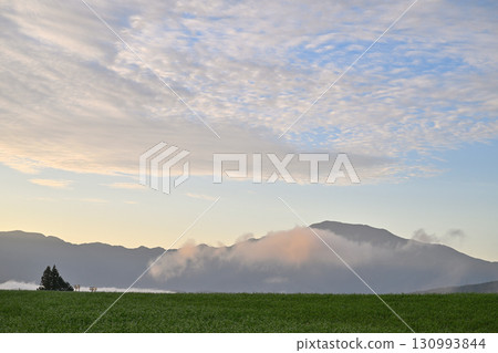 蕎麥花田和早晨的天空 蕎麥花田和早晨的天空 130993844