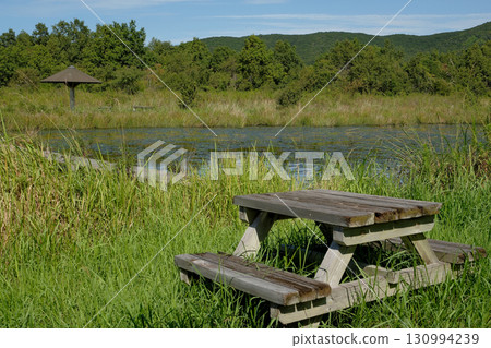 夏季市立公園風光 夏季市立公園風光 130994239