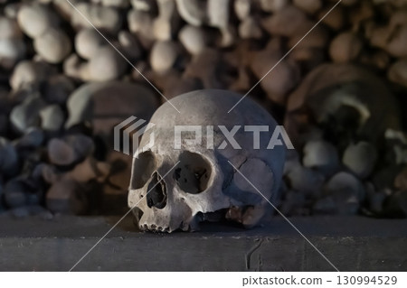 human skull close up old and weathered on blurred background human skull close up old and weathered on blurred background 130994529