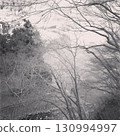 winter, fog, foggy 130994997