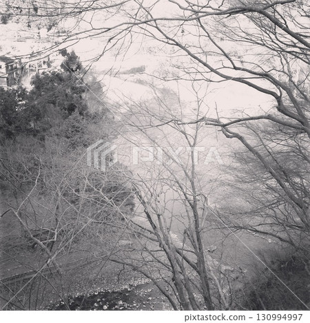 winter, fog, foggy 130994997
