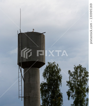 The stork built a nest on the water tower 130995169