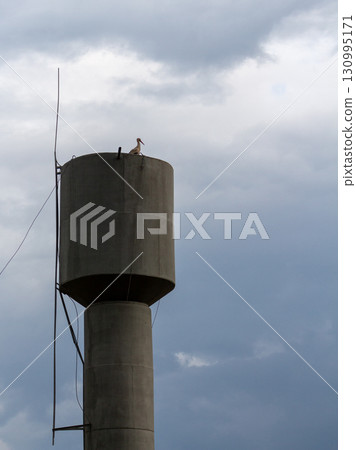 A stork stands on a water tower in a village, against a cloudy sky 130995171