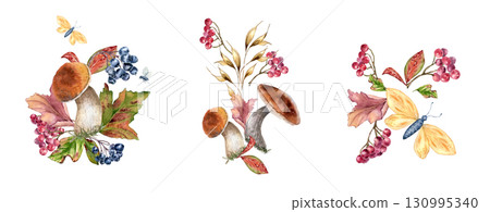 Forest harvest autumn watercolor set hand painted isolated white. Butterflies, red berries and porcini mushrooms botanical sketch clipart. Woodland plants drawing for wedding invitations, and print. 130995340