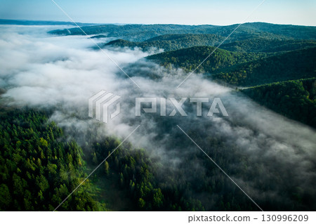 Aerial view of dense forest shrouded in morning mist, with fog weaving through trees and rolling hills. Vibrant green foliage contrasts with soft white clouds, creating serene and mystical atmosphere. 130996209