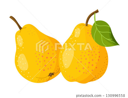 two yellow pears. Fresh fruit. Modern flat style isolated on a transparent background. 130996558