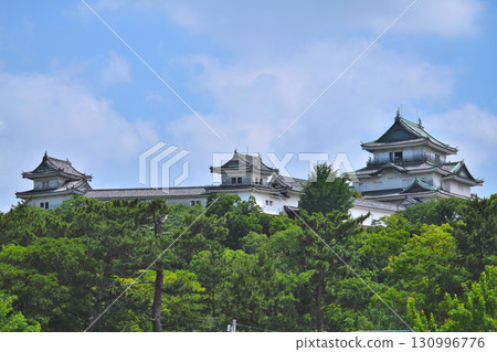 紀伊與歌山城：城牆、城牆、石牆 130996776