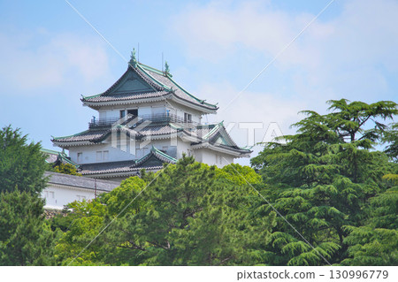 Kii Wakayama Castle: Castle tower and castle grounds, stone walls Kii Wakayama Castle: Castle tower and castle grounds, stone walls 130996779