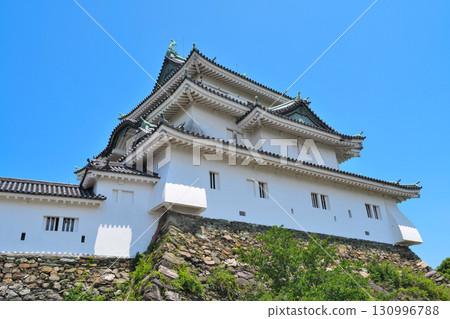 紀伊與歌山城：城牆、城牆、石牆 130996788