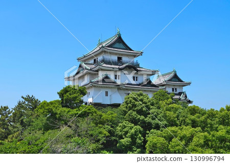 紀伊與歌山城：城牆、城牆、石牆 130996794