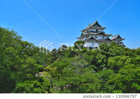 紀伊與歌山城:城牆、城牆、石牆 紀伊與歌山城:城牆、城牆、石牆 130996797