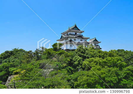 Kii Wakayama Castle: Castle tower and castle grounds, stone walls Kii Wakayama Castle: Castle tower and castle grounds, stone walls 130996798