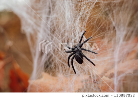 Artificial spider on web in forest full of Autumn colours. Halloween decorations Artificial spider on web in forest full of Autumn colours. Halloween decorations 130997058