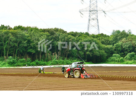 Tractor work in the field_06 130997318