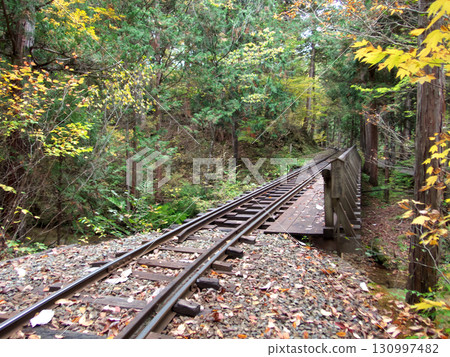 The railroad tracks continue through the autumn forest 130997482
